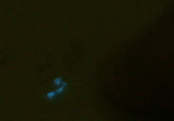 img_3453 (Modified).jpg